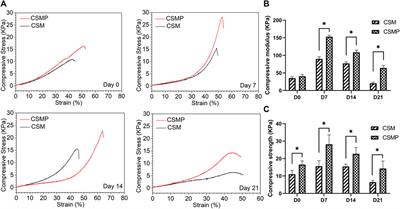 Advanced phosphocreatine-grafted chitosan hydrogel promote wound healing by macrophage modulation